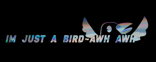 IM JUST A BIRD